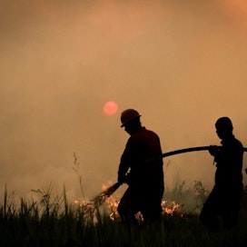 Viranomaisten tietojen mukaan tammikuun ja elokuun välisenä Brasiliassa aikana on havaittu lähes 73 000 paloa. Valtaosa paloista oli Amazonin alueella. LEHTIKUVA/AFP