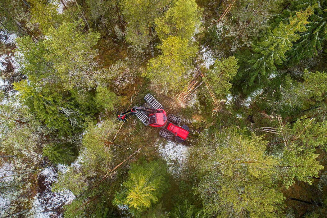 Pinta-alaperusteinen tuki saattaisi kannustaa metsänomistajaa säilyttämään monimuotoisuutta edistävät metsien rakennepiirteet, selvitys esittää.