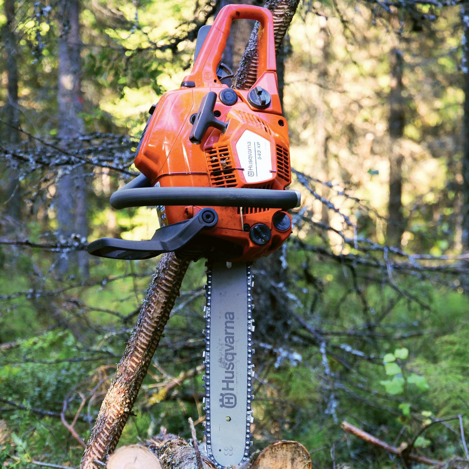 Husqvarna 543 deals xp chainsaw