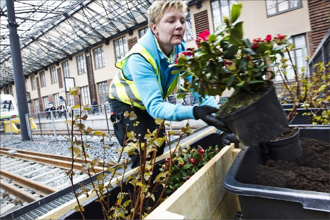 Helsingin päärautatieasemalle saapuvaa tervehtivät raiteiden päätyyn rakennetut istutukset. Mirkka Peltola istutti kasveja viime viikon perjantaina. Valmiiksi puutarha saatiin äitienpäiväksi. Kari Salonen
