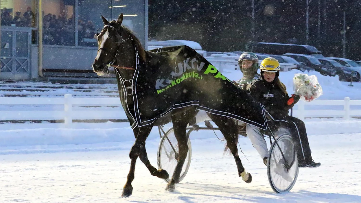 Kuvassa ohjastaja Hannu Torvinen ja valmentaja Christa Packalen Äimäraution Toto75-voiton jälkeen Mamajuanan rattailla. Tamman taival jatkuu Tornion Vojakkalasta ja Iida Lanton tallista käsin.