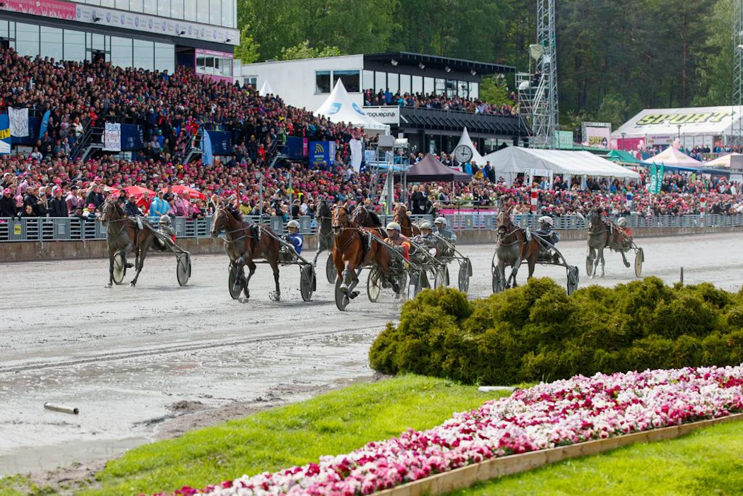Yleisöä tämän vuoden Elitloppetissa ei ole, mutta tunnelmaan voi virittäytyä tv:n välityksellä kotisohvalla.
