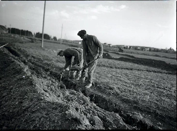 Salaojitusta Lepsämällä Nurmijärvellä 8.10.1960. (negatiivi) 
Salaojaa kaivetaan lapiolla. 
Kuvat HA_Iea_0104-0108 kuuluvat samaan yhyteyteen.