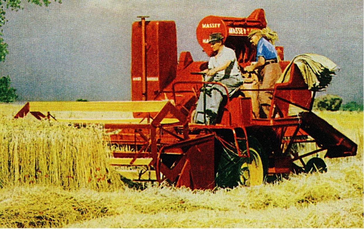 Varsinaiseen ajopuimuriaikaan meillä siirryttiin vuonna 1951, jolloin Hankkija onnistui tuomaan skotlantilaiselta Kilmarnockin tehtaalta 150 koneen erän Massey-Harris 726 -puimureita. Harrista myytiin välittömästi enemmän kuin vetopuimureita yhteensä, kokonaismäärissä se meni kärkeen vuonna 1954. Massey-Harris oli koko 50-luvun ajan ylivoimainen markkinajohtaja.