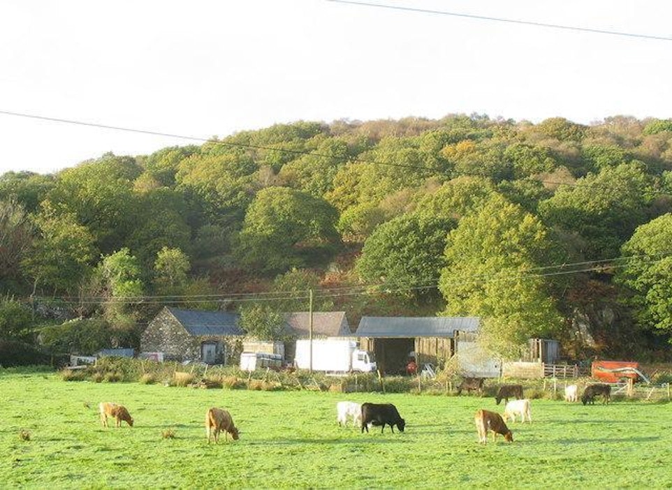 Britannian oma maidontuotanto ei riitä kattamaan kulutusta.