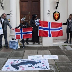 Mielenosoittajat vastustivat valaanpyyntiä Norjan suurlähetystön edustalla Lontoossa maaliskuussa. Lehtikuva/ AFP