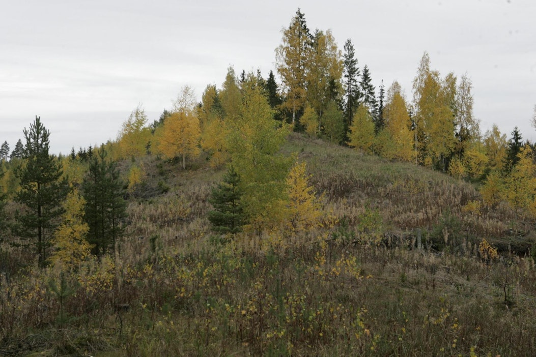 Tämä harju sijaitsee Tuuloksessa Kanta-Hämeessä.