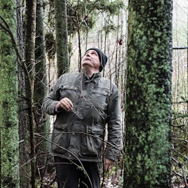 Jarmo Juutin metsissä on kohteita, joilla havaintorekisterin mukaan elää liito-oravia. Maastosta ei kuitenkaan löydy jälkiä lajista.