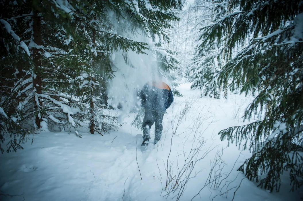 Tiedot metsänomistuksesta luovutetaan pyydettäessä toimittajille, linjasi metsäkeskus viime viikolla tietojen julkisuutta koskevia lakeja tarkasteltuaan.