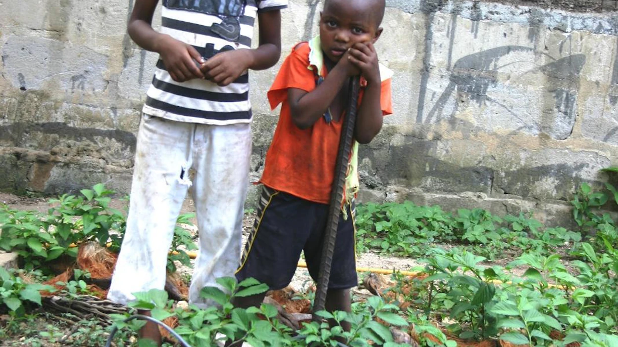 Jos afrikkalaisia veroparatiisisijoituksia verotettaisiin, valtiot saisivat liki 13 miljoonaa, Oxfam arvioi. Se takaisi opettajien palkat niin, että loputkin afrikkalaislapset pääsisivät kouluun eikä neljä miljoonaa lasta kuolisi terveydenhuollon puutteisiin.