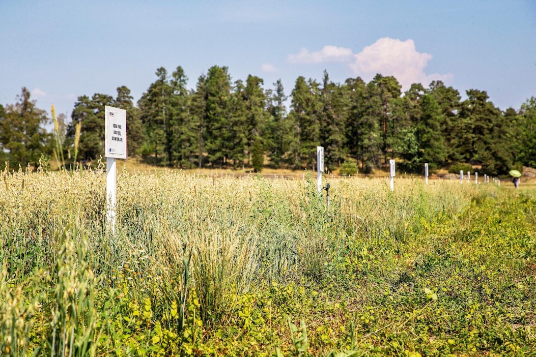 Ruoka Akatemia vierailee myös maatiloilla.