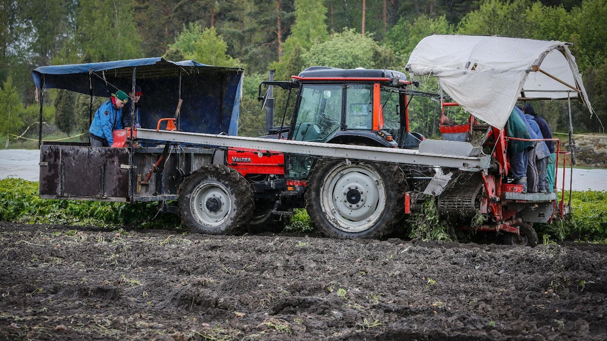 Esko ja Sanna Lehtosen tilalla varhaisperunan nosto oli jo käynnissä. Monilla muilla tiloilla nostot menevät ensi viikkoon.