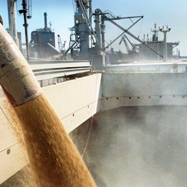 Panamax-luokan viljalaivaa lastataan Naantalin satamassa. vienti, satama, vilja