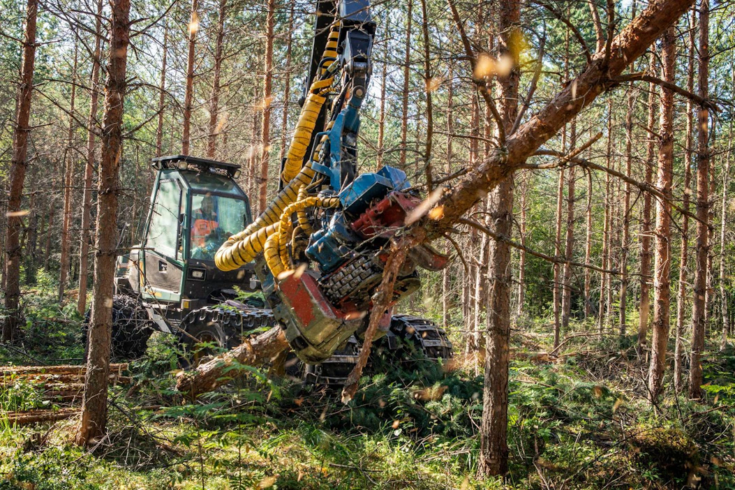 Metsä Groupin puukaupoissa ostoslistan kärkipäässä ovat kesäkorjuukelpoiset harvennusleimikot.