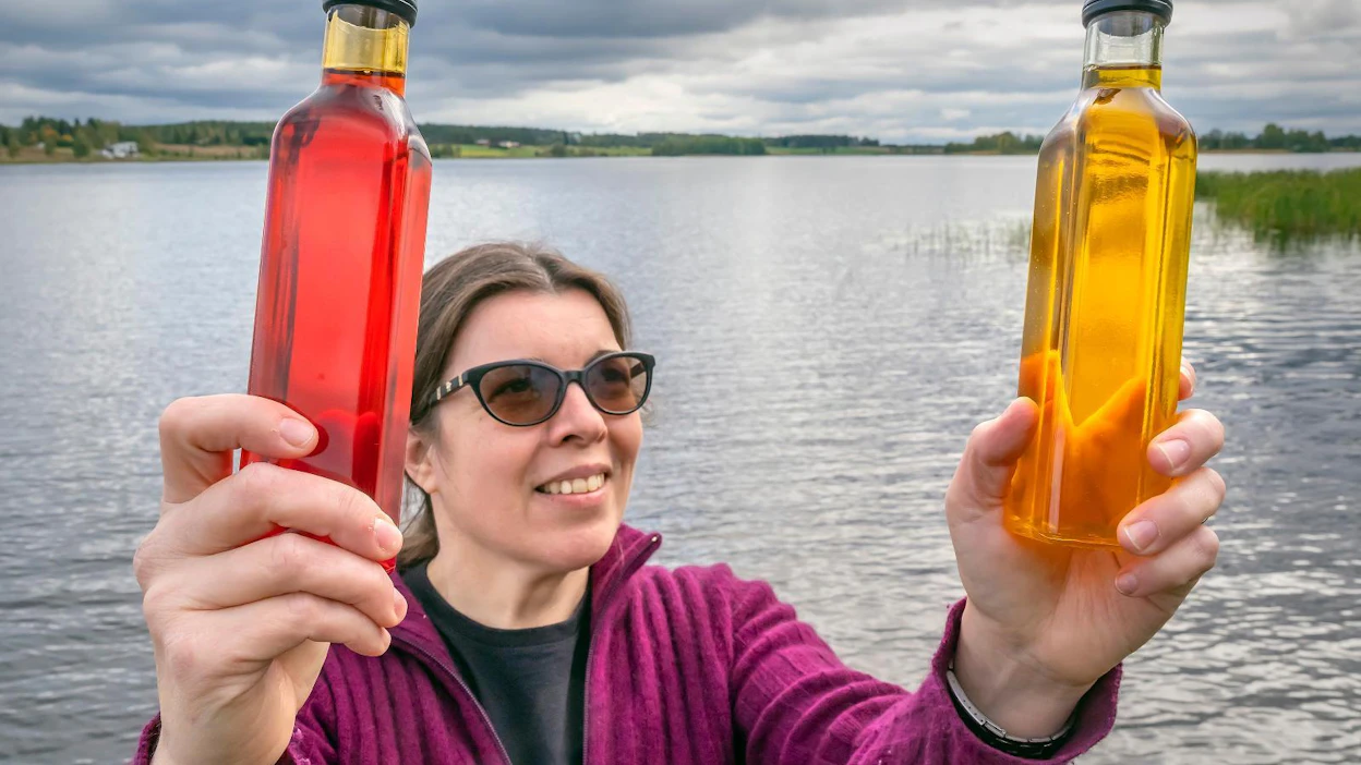 "Punainen on chilillä maustettua, keltainen on maustamatonta. Kylmäpuristettua rypsiöljyä kummassakin pullossa", esittelee Alavuden Öljynpuristamo Oy:n toimitusjohtaja Hanna Yli-Kuha. Yrityksen toimitilat ovat aivan Alavudenjärven tuntumassa.