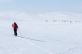 Paistunturin erämaa on talvella valkeata aavaa.