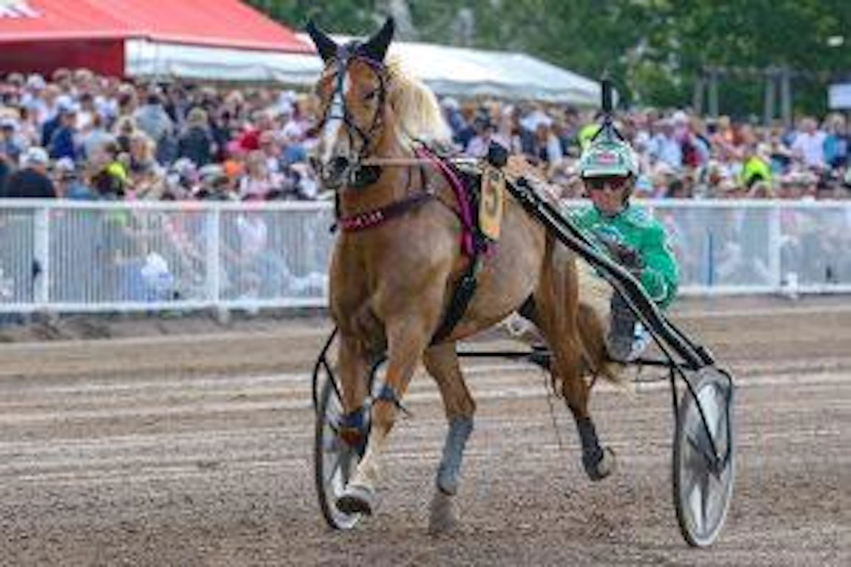 Juliette Lax on tammojen rankingkärki.