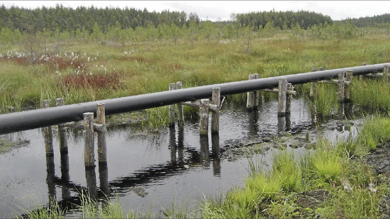 Pintavalutuskenttää pidetään yhtenä turvetuotannon vesiensuojelun parhaimpana menetelmänä. Kentän suokasvit imevät vettä tehokkaasti. Kuvassa Vapon Mesiänsuon turvetuotantoalueen pintavalutuskenttä Joutsan Leivonmäellä. Suvi Niemi