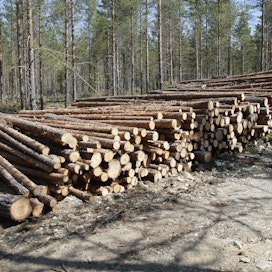 KaiCell Fibers on aiemmin kertonut, että puuta tehdas käyttäisi noin 2,8 miljoonaa kuutiometriä vuodessa.