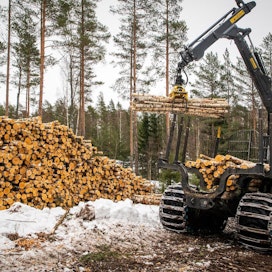 Metsäteollisuus ry:n jäsenyritykset ovat ostaneet alkuvuonna puuta yksityismetsistä 19 prosenttia vähemmän kuin viime vuonna vastaavaan aikaan.
