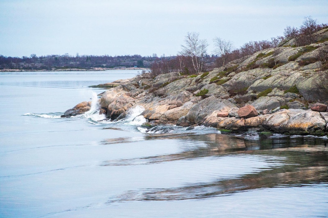 Suomen Vapaa-ajankalastajien keskusjärjestö moittii: Varsinais-Suomen  elykeskus romuttaa uuden kalastuslain henkeä - MT Metsä - Maaseudun  Tulevaisuus