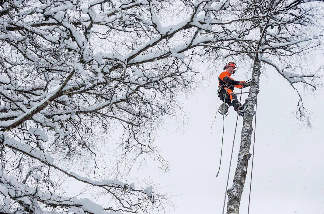 Puiden poistaminen on muun muassa soutua harrastavalle Pekka Soinille myös oiva tapa pitää yllä fyysistä kuntoa.