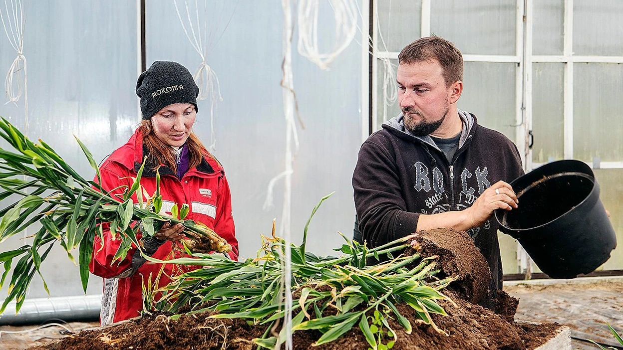"Melkein mitä vaan pystyy Suomessa kasvattamaan, mutta haasteena on, että siitä saa taloudellisesti ja ympäristölle järkevää", miettivät Hanne ja Jukka Kinnunen.