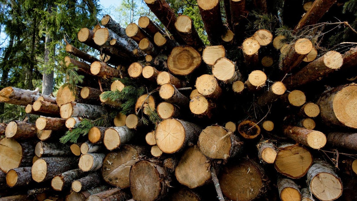 Kansainvälinen selvitys arvioi, että vuoteen 2050 mennessä valtaosa biomassasta ohjautuu muualle kuin energiantuotantoon.
