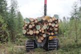 Metsä Groupin Äänekoskelle suunnittelema viilupuutehdas käyttäisi tukkia 375 000 kuutiometriä vuodessa.