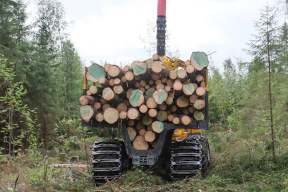 Metsä Groupin Äänekoskelle suunnittelema viilupuutehdas käyttäisi tukkia 375 000 kuutiometriä vuodessa.