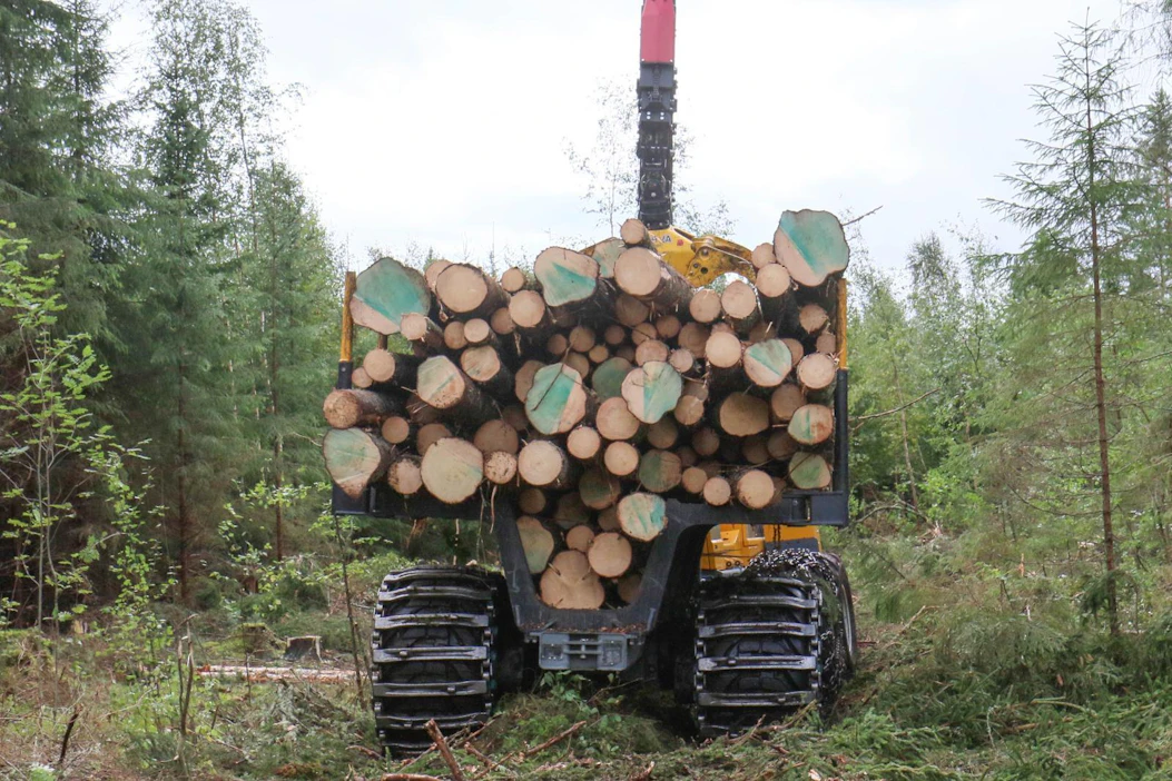 Metsä Groupin Äänekoskelle suunnittelema viilupuutehdas käyttäisi tukkia 375 000 kuutiometriä vuodessa.