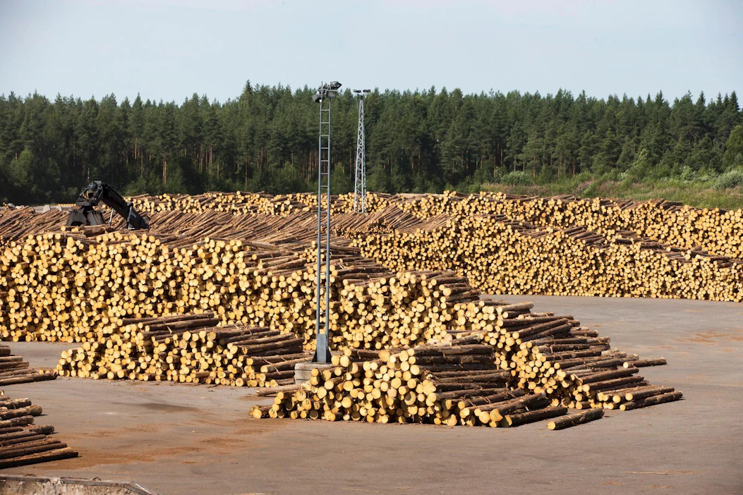 Alajärven tehtaalle tarvitaan tukkikentän laajennus, kun tuotanto kasvaa. Kuvassa on Keitele Groupin Keiteleen tehtaan tukkivarastoa muutaman vuoden takaa.