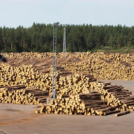 Alajärven tehtaalle tarvitaan tukkikentän laajennus, kun tuotanto kasvaa. Kuvassa on Keitele Groupin Keiteleen tehtaan tukkivarastoa muutaman vuoden takaa.