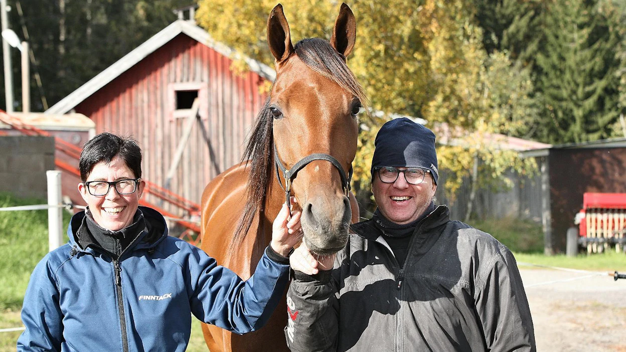 Shackhills Twister on Terhi Heimon ja Jari Kinnusen tallin tähti. Ruunan 11 starttia ovat tuottaneet tähän mennessä 29200 euron palkintorahat, ja lauantaina se tavoittelee 90000 euron ykkösrahoja.