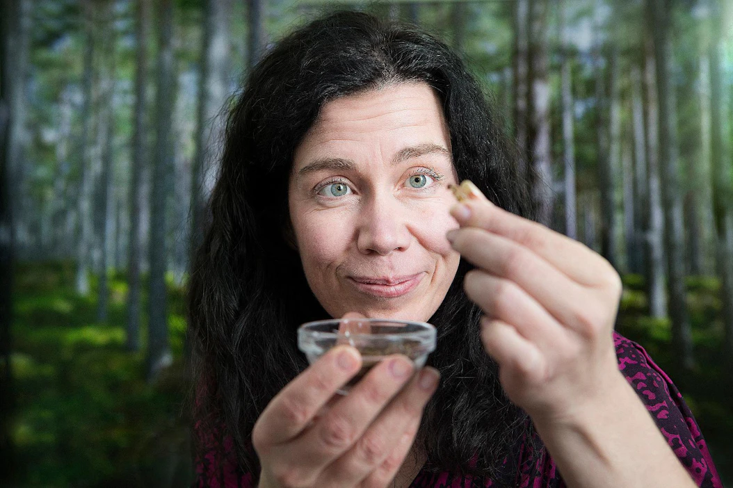 Jos lapsena on syntynyt voimakas torjunta johonkin ruokaan, siitä on vaikea päästä irti. "Ellei tule voimakas oma motivaatio. Esimerkiksi lääkäri uhkaa kuolemalla tai olet superrakastunut", Mari Sandell toteaa ja tarkastelee syötävää sirkkaa.