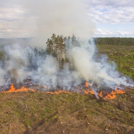 Kolmen hehtaarin laajuinen alue Seinäjoen Rintalanmäellä kulotettiin keskiviikkona Kulota-hankkeen näytöskohteena.