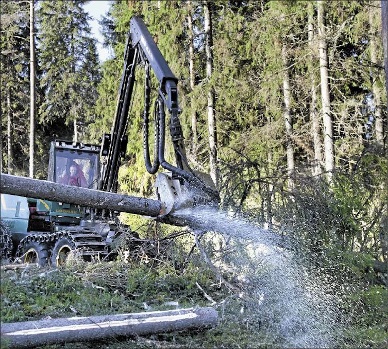 Pohjalaisvalmisteisia metsäkoneita esiteltiin viime torstaina Isojoella. Tukkia pätkii hakkuukoneen ohjaimissa Petri Ojala. Mirja Koivisto