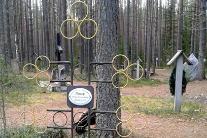 Stalinin vainojen uhrien hautapaikka Sandarmohissa mäntymetsässä Karjalan tasavallassa Karhumäen piirissä. LEHTIKUVA / AFP