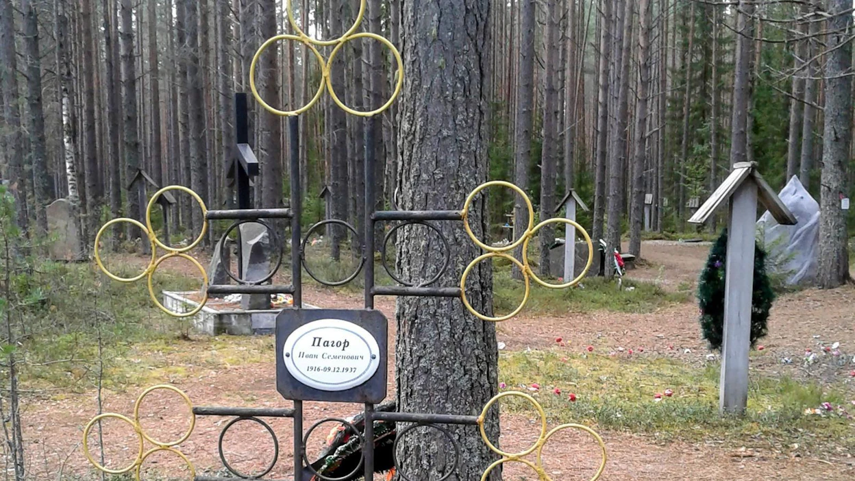 Stalinin vainojen uhrien hautapaikka Sandarmohissa mäntymetsässä Karjalan tasavallassa Karhumäen piirissä. LEHTIKUVA / AFP