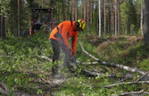 Jos akkusahan käyttökohteita taajama-alueen ulkopuolella miettii, erilaiset katkontatyöt mökkialueilla ja pihapiirissa ovat niiden ominta aluetta. Koska sahoissa ei ole bensaa, niiden kuljettaminen traktorin ohjaamossa ”apusahana” ei aiheuta paloriskiä – eikä bensankäryä kuljettajalle.