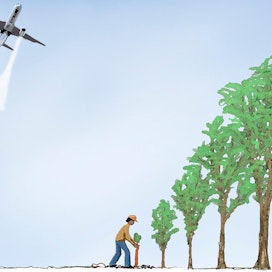 Ilmastopäästöjään voi kompensoida esimerkiksi rahoittamalla puiden istutusta kohteisiin, joihin niitä ei ilman tukea istutettaisi.