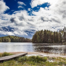 Perussuomalaisten nuorisojärjestön ehdottamalla metsäluvalla ulkomaalaiset turistit ja matkanjärjestäjät saisivat liikkua vapaasti kansallispuistoissa samoilla pelisäännöillä kuin suomalaiset.