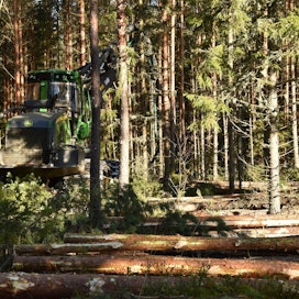 EU:n monimuotoisuusstrategiassa Suomea kiinnostavat erityisesti linjaukset metsien suojelusta.