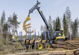 Metsäkatoasetus aiheuttaa puuta käyttäville yrityksille valtavat kustannukset.