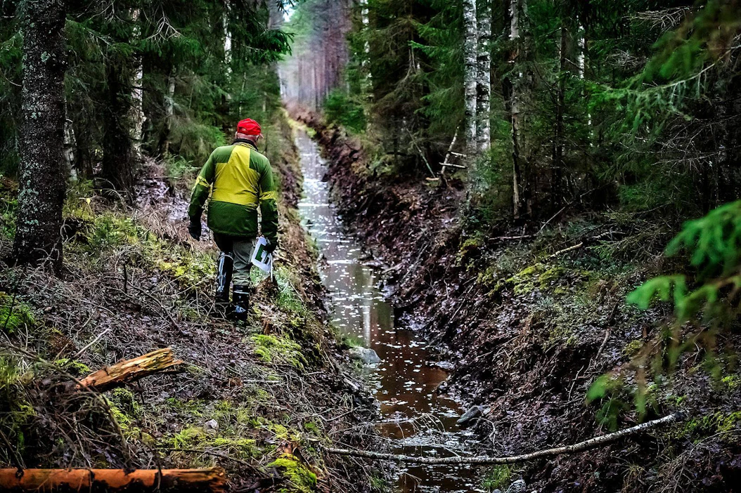 Metsämaasta huuhtoutuu orgaanista ainesta vesistöihin, kun metsä ojitetaan. Se värjää vesiä ruskeiksi.