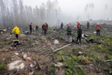 Metsäkeskuksen Kulotuskoulu-hankkeen opintoretkeläiset tutustuivat syyskuussa keväällä kulotettuun uudistusalaan Iitissä. Kulotus helpottaa taimien kasvua, sillä niiden ei tarvitse kilpailla ensimmäisinä elinvuosinaan muun kasvillisuuden kanssa.
