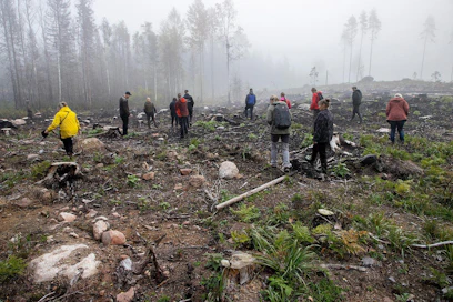 Metsäkeskuksen Kulotuskoulu-hankkeen opintoretkeläiset tutustuivat syyskuussa keväällä kulotettuun uudistusalaan Iitissä. Kulotus helpottaa taimien kasvua, sillä niiden ei tarvitse kilpailla ensimmäisinä elinvuosinaan muun kasvillisuuden kanssa.