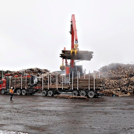 Puuta on myyty ja korjattu ennätystahdilla tänä vuonna. Kuvassa puutavara-autoa puretaan Metsä-Groupin Äänekosken biotuotetehtaalla.