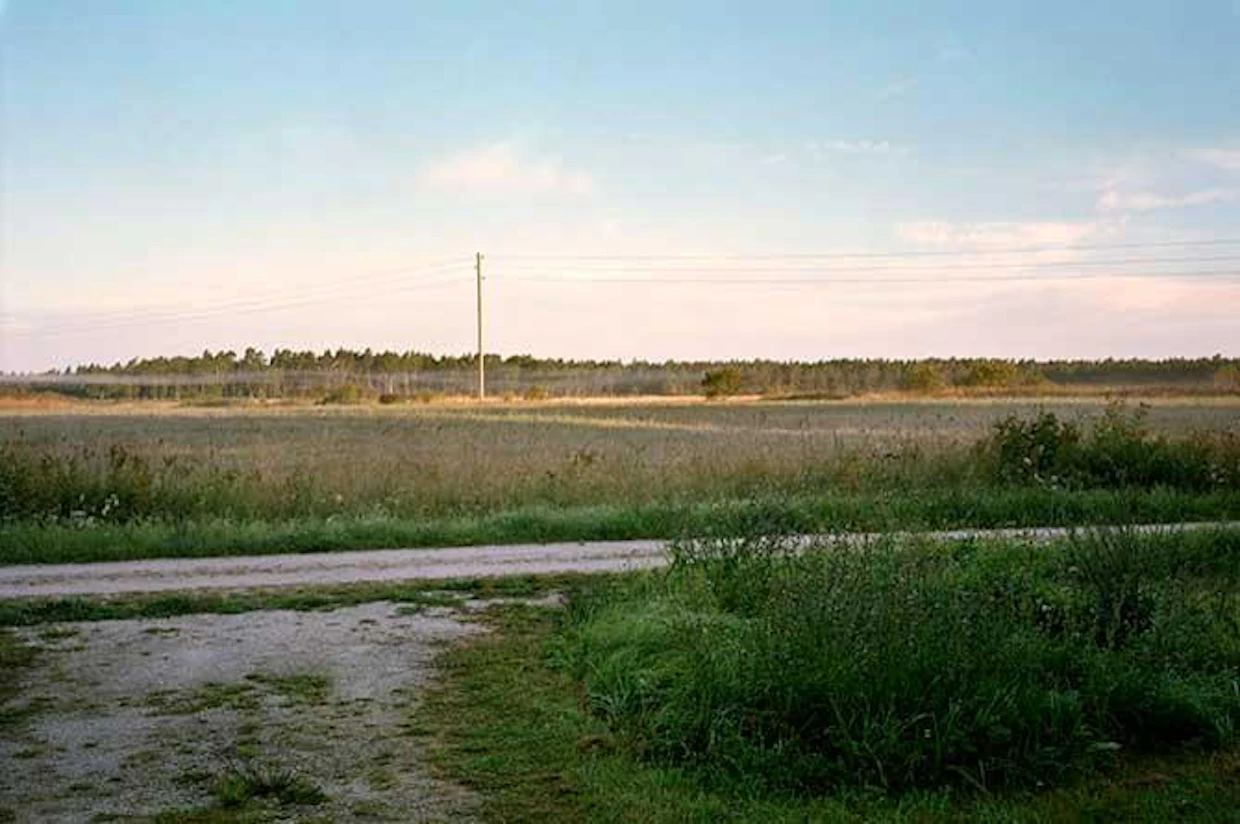 Vattenfall tarjoaa fossiilivapaita sähkösopimuksia kaikille maatalousalan asiakkaille.