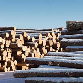 Metsäteollisuus ry:n jäsenyritykset ostivat viime vuonna puuta yksityismetsistä 24 prosenttia enemmän kuin toissa vuonna, mutta 15 prosenttia vähemmän kuin huippuvuonna 2018.
